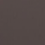 905 Tinted Brown