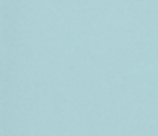 Light Green PC Solid